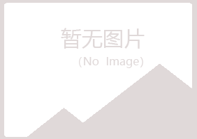 偃师迷茫演艺有限公司